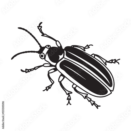 line art of blister beetle in crawling pose insects on the white background