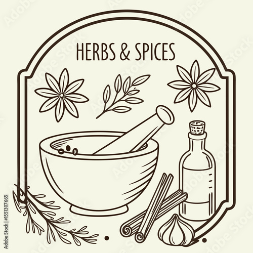 Elegant vintage illustration showcasing assorted herbs and spices in refined outline