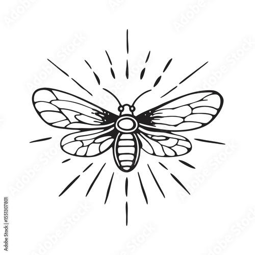 line art of firefly glowing insects on the white background