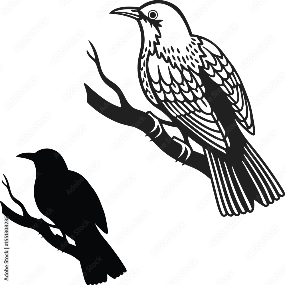 Obraz premium Nightingale Silhouette in Details Vector Illustration 
