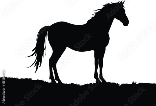 Graceful Equine Silhouette on Grassy Ground Featuring a Proud Horse in Profile with Flowing Mane and Tail—Its Posture Conveying Poise and Stillness, Framed by a Simple Horizon Line Suggesting Natural 