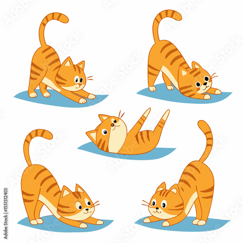 Feline Flexibility: Cute Cats in Various Stretches