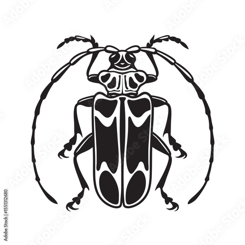 line art of longhorn beetle with antennae  insects on the white background