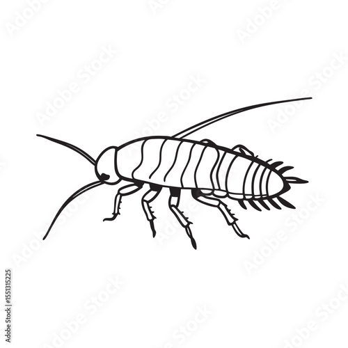  line art of slow moving ground insects on the white background