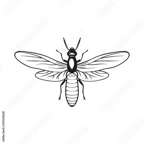  line art of termite with wings on the white background