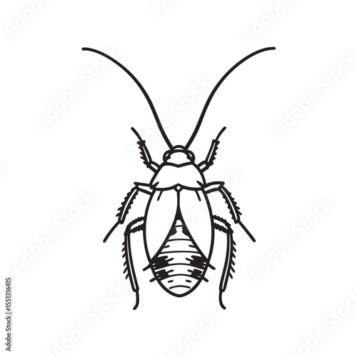  line art of tiny parasitic insect on the white background