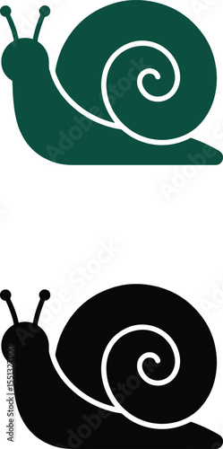 Stunning 4K Video Snail Shell Animation - Green and Black