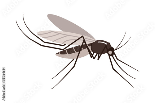 Mosquito illustration. A typical summer pest.