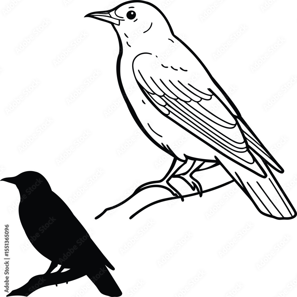 Fototapeta premium Chirping Nightingale Bird Vector Illustration 
