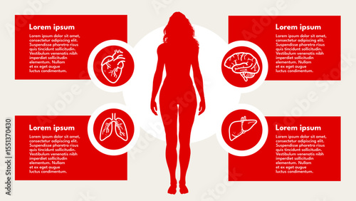 women’s health, internal organs – brain, heart, lungs, liver – infographic template – vector illustration