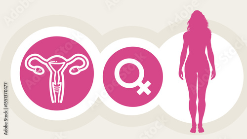 women’s health, reproductive system, uterus and ovaries – template, banner, infographic – vector illustration