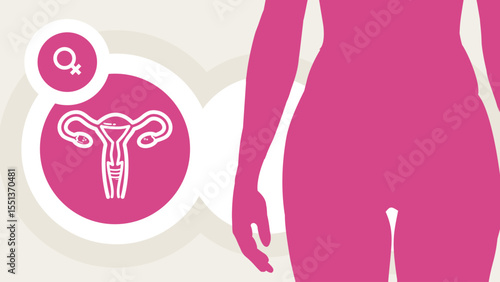 women’s health, reproductive system, uterus and ovaries – template, banner, infographic – vector illustration
