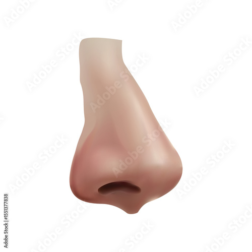 Bild auf Leinwand Nose illustration on white background vol 01