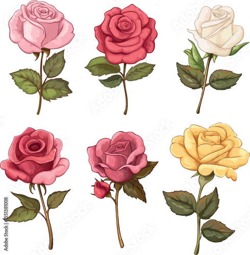 Elegant Rose Flower Collection – Hand Drawn Floral Set