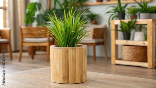 Interior design bamboo, eco-friendly and furniture concept. Indoor potted plant in a stylish wooden planter with a cozy setting.