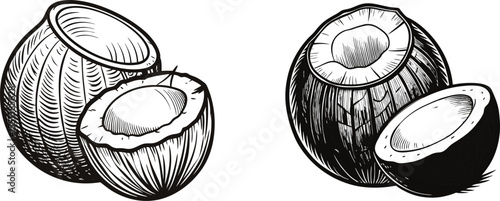 Two coconuts one whole, one cracked open showing the inside flesh and shell