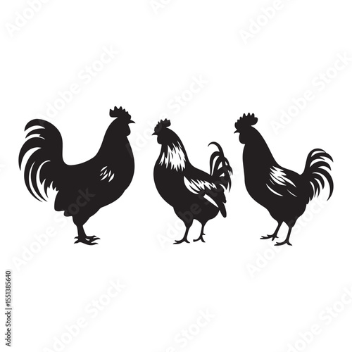 Chickens and roosters eating, farm animals