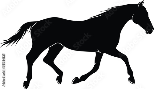 Editable vector silhouette of a horse running, isolated on white