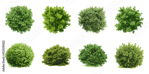 Lush Green Foliage And Bushes Top View Set. Garden And Landscape Architecture Element Collection. Sustainable Design And Urban Planning. Isolated Vector Illustration