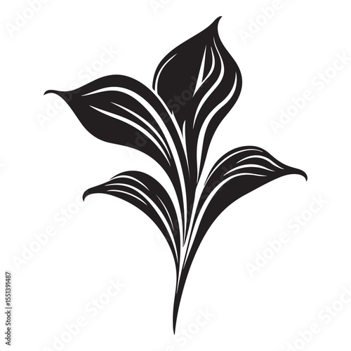 Peace lily flower silhouette