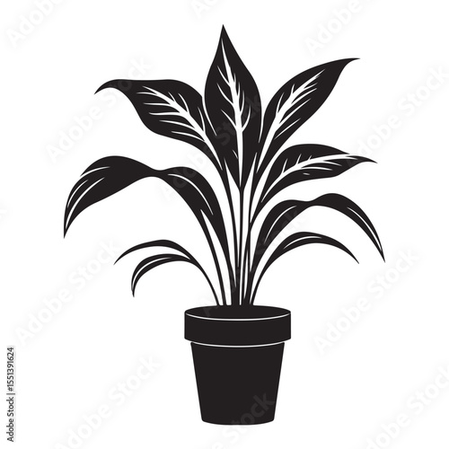 Peace lily potted plant silhouette