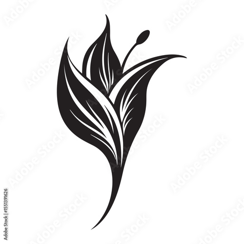 Peace lily flower silhouette