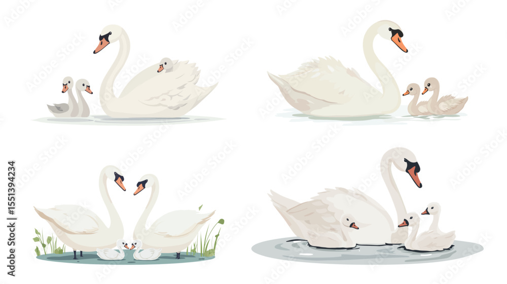 Obraz premium Close-Up of Swan Family – Adult Swans and Fluffy Cygnet on Water