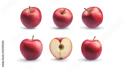 Collection of Red Apple Illustrations – Whole, Halved, and Sliced Apple Set