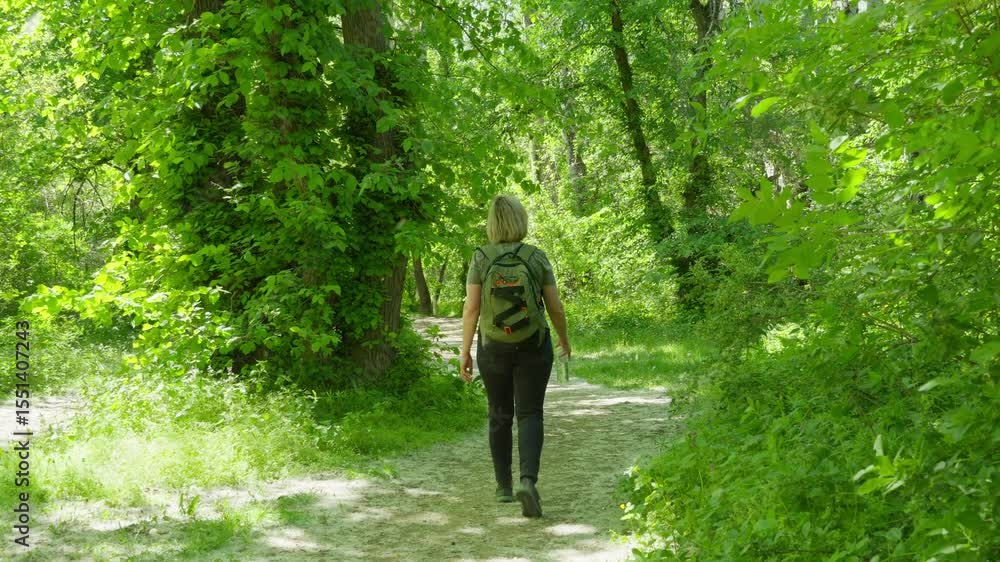woman walking with a backpack along a path in a spring green forest
woman walking with a backpack along a path in a spring green forest