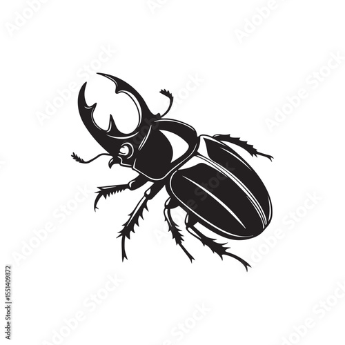 stag beetle isolated on white background