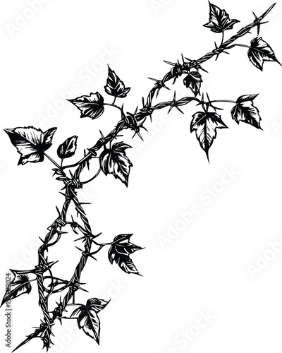 Black silhouette of thorny vine with leaves, editable vector illustration