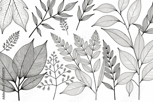 Elegant Black and White Leaf Illustration-Botanical Line Art Design-Detailed Foliage Pattern-Nature Inspired Print-Minimalist Plant Decor