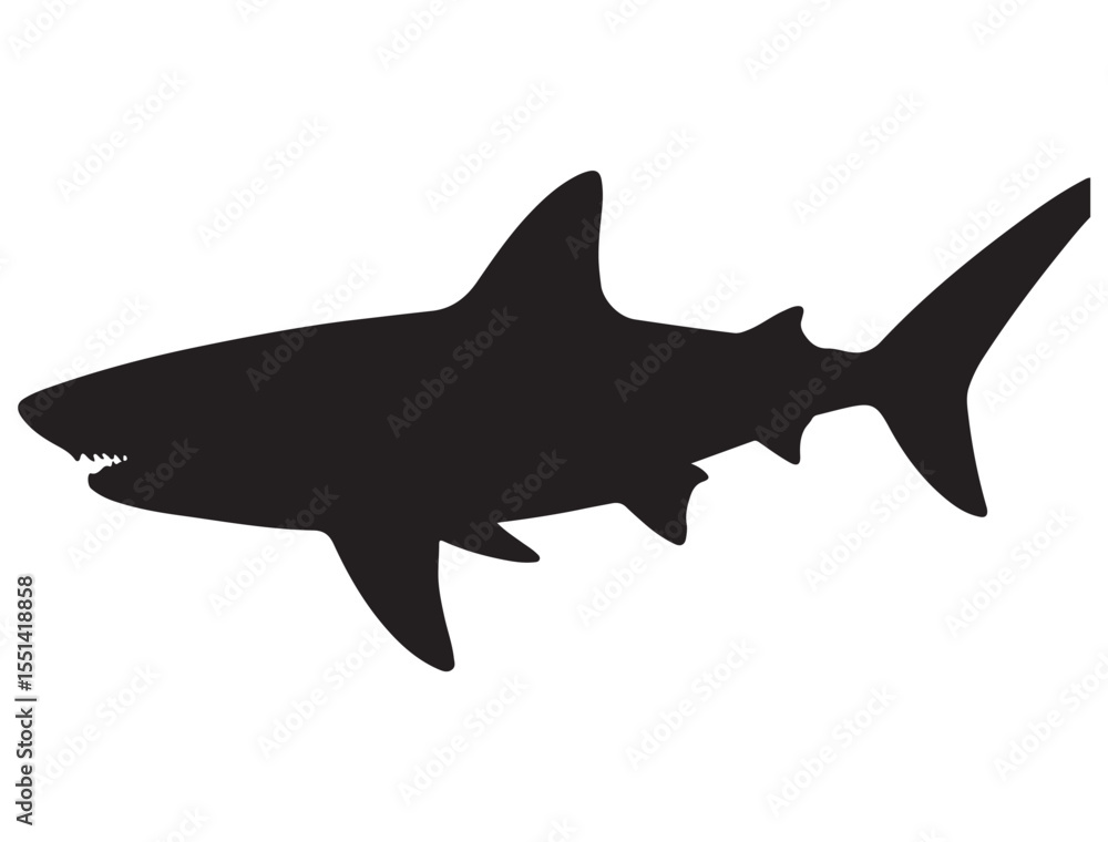 Obraz premium SHARK SILHOUETTE