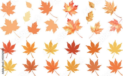 Autumn Leaves Illustration Set – Maple Leaf and Momiji Fall Color Variations