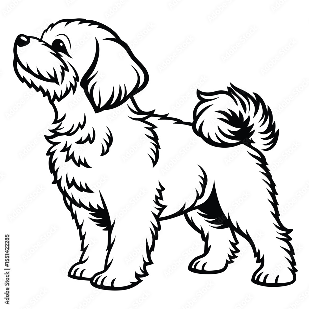 Elegant Bichon Frise Standing Profile with Intricate Fur Details and a Dignified Pose Captured in Striking Black and White Elegant Bichon Frise Standing Profile with Intricate Fur Details and a Dignified Pose Captured in Striking Black and White