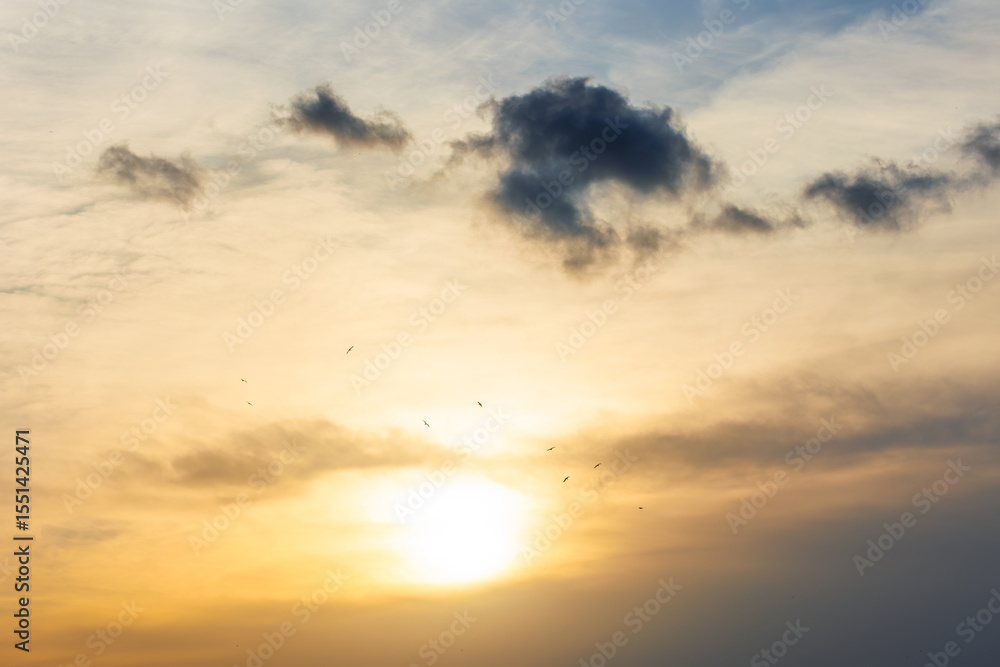 clouds at the sunset and birds is flying clouds at the sunset and birds is flying