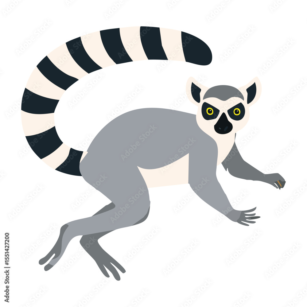 Obraz premium Ring-Tailed Lemur Walking with Tail Up