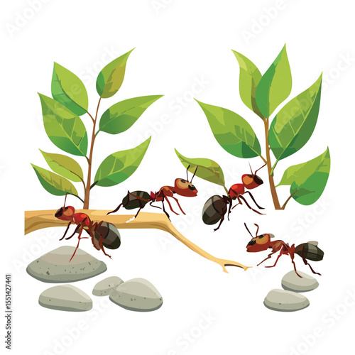 Ants Walking on Branch with Green Leaves