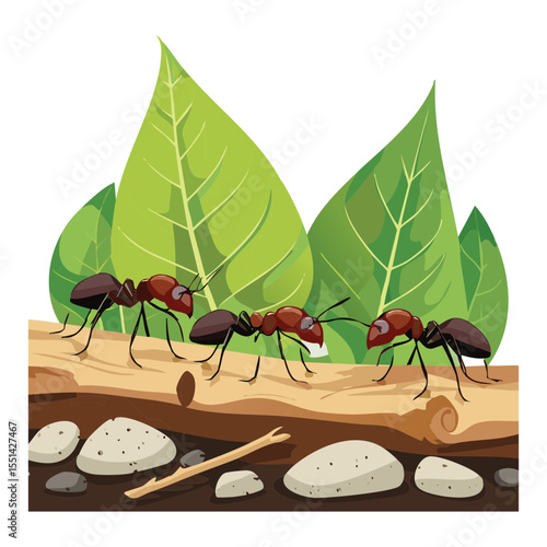 Ants Foraging on Ground with Green Leaves