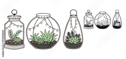 A collection of six hand-drawn illustrations of terrariums with different succulent plants, perfect for a modern design.