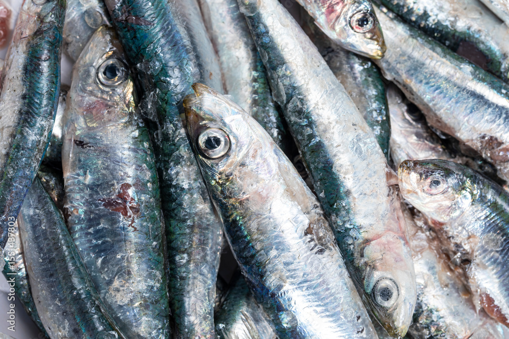 Obraz premium Fresh anchovies caught from the sea for sale at the market