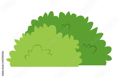 Two green bushes with slightly different shades on a white background illustration