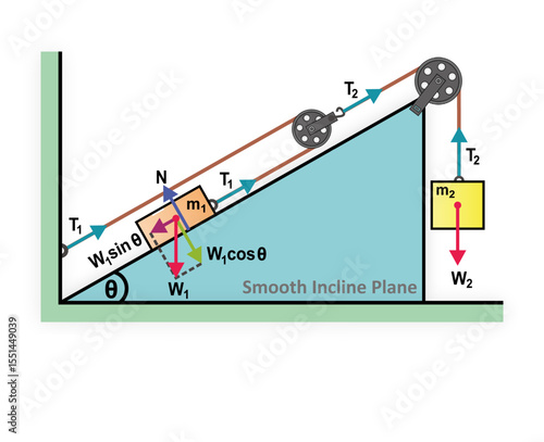 Free body diagram of Two blocks are connected by a rope and pulleys. One block hangs freely, while the other passes through a movable pulley, with the rope's end fixed to a wall