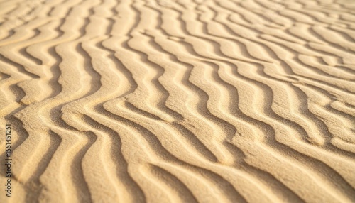 Rippled Sand Dunes Texture