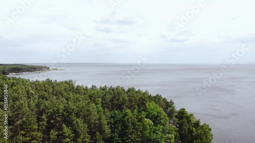 Wallpaper Mural Aerial view of a large lake, with a green pine forest. Aerial view of a picturesque lake surrounded by forests. No people. Torontodigital.ca