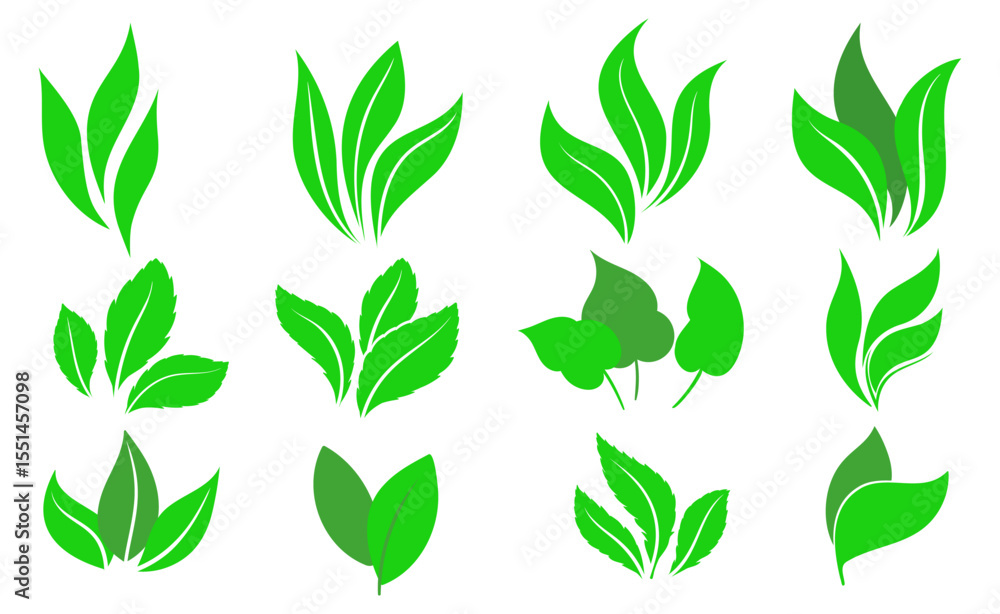 Green leaves icons set isolated on white background vector illustration. Collection of green leaves. Template for package and cover. Vegan, tree, plant, fresh, energy and healthy nutrition concept. Green leaves icons set isolated on white background vector illustration. Collection of green leaves. Template for package and cover. Vegan, tree, plant, fresh, energy and healthy nutrition concept.