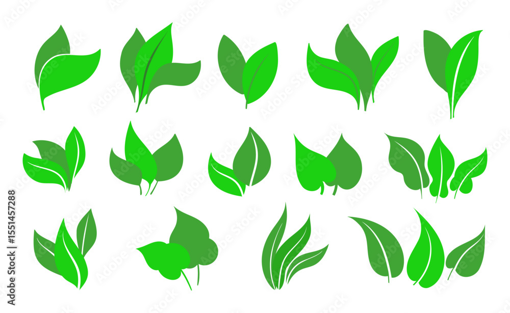 Green leaves icons set isolated on white background vector illustration. Collection of green leaves. Template for package and cover. Vegan, tree, plant, fresh, energy and healthy nutrition concept. Green leaves icons set isolated on white background vector illustration. Collection of green leaves. Template for package and cover. Vegan, tree, plant, fresh, energy and healthy nutrition concept.