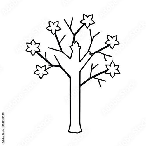 a paperbark tree with cracked bark and flower bunc