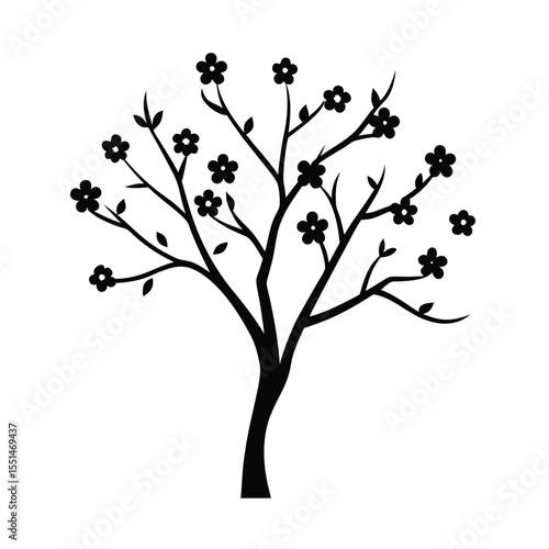 a plum tree in early bloom with delicate flower cl