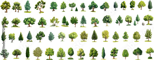 Green park, forest, arboretum hand drawn landscape trees, different kinds of trees vector illustration